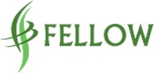 fellow